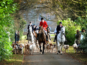 Supporting image for story: Pictures: Crowds turn out for the Albrighton and Woodland Boxing Day Hunt