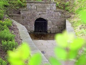 Supporting image for story: Oswestry's odd Oswald omission