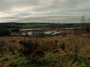 Supporting image for story: High hopes for £250k rope adventure park