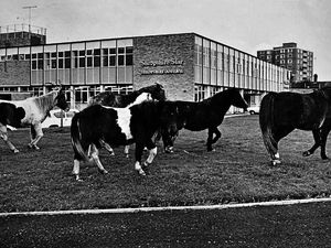 Supporting image for story: Pictures from the past - December 4