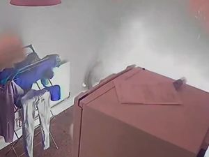 Supporting image for story: Watch as dramatic e-bike explosion shows dangers of leaving electronic devices plugged in