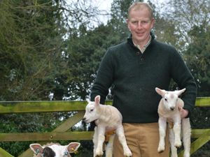 Supporting image for story: Why we need to buy British at the supermarket 