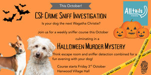 Crime Sniff Investigation hosted by All Tails media this October
