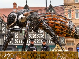 Supporting image for story: Take a look at anti-violence bee sculpture creating a buzz in Shropshire 