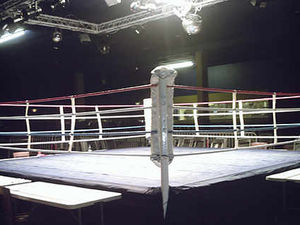 Supporting image for story: Four take junior ABA Midlands titles