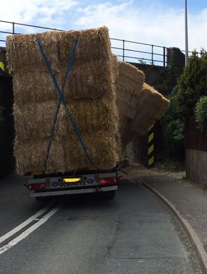 The lorry which shed its load. Photo: @NewtownRPUSGT