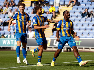 Supporting image for story: Steve Cotterill: Best yet to come from Shrewsbury's Christian Saydee