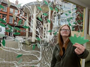 Supporting image for story: Tree of Hope for Oswestry's Homeless