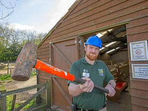 Supporting image for story: £90,000 farmyard revamp begins at Dudley Zoo