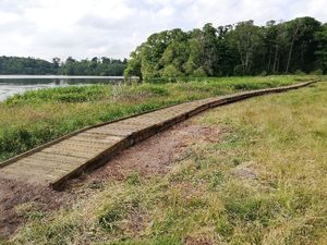 Supporting image for story: Colemere boardwalk complete