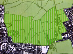 The green belt land which could be redeveloped in the future