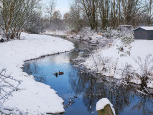 Doley Brook at Gnosall - Bob Colman