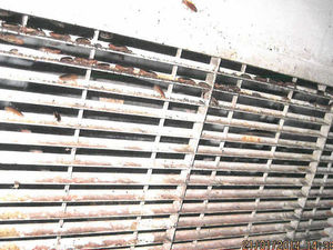 Supporting image for story: £1,000 fine for cockroach infested Wolverhampton diner