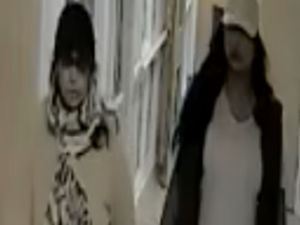 Supporting image for story: Appeal launched to identify two women after distraction burglary in Smethwick