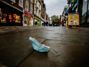 Supporting image for story: 'Greatest gift is keeping your family safe': Public health bosses urge Christmas caution