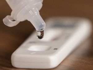 Supporting image for story: What we know about the Covid inquiry so far as first preliminary hearing begins