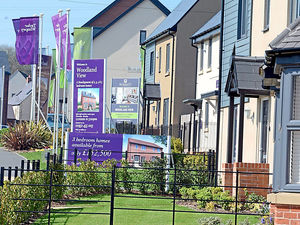 Supporting image for story: Star comment: Homing in on housing dilemma