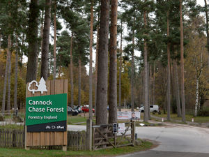 Supporting image for story: Councillors face online abuse over Cannock Chase plans 