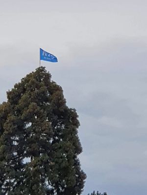 The flag 120ft up in Coton Hill, Shrewsbury
