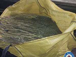 Supporting image for story: Man arrested following large cannabis seizure in Solihull