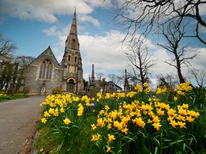 Supporting image for story: West Midlands weather: Blue skies and spring sunshine to continue into the weekend