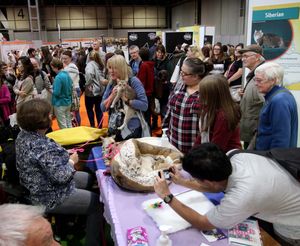 National Pet Show at Birmingham NEC. Pictures by: Andy Shaw
