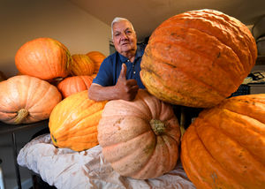 Paul Sanghera of Smethwick with his pumpkins