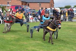 Pictures courtesy of Jonathan White, Wistaston