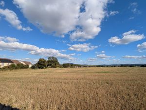 Developers have submitted an application to build 55 new homes in Cross Houses, near Shrewsbury