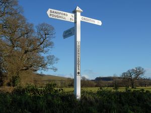 Supporting image for story: Fact check: Labour and the Conservatives most likely to win in Central Devon