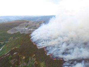 Supporting image for story: Horseshoe Pass fire 'scaled down' after three weeks burning