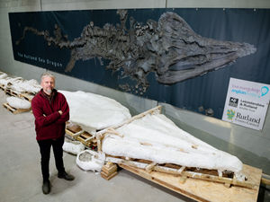 Supporting image for story: Behind the scenes at secret dinosaur centre hosting massive sea dragon discovery
