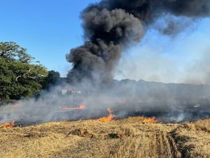 Supporting image for story: Summer heatwave fuels massive rise in wildfires in 2022 in scorching Shropshire