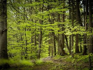 Supporting image for story: Is our green and pleasant land up for grabs?