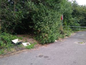 Supporting image for story: Frustration as remains of dead sheep dumped by walking left for a week