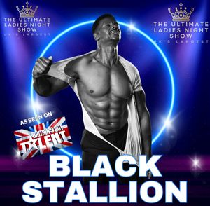 As seen on Britain's Got Talent BLACK STALLION