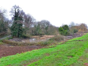 Supporting image for story: Woman sexually assaulted while walking dog at Telford nature reserve