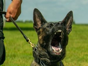 Supporting image for story: Three men arrested after stolen camper van recovered on wrong side of the M6 