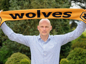 Supporting image for story: Johan Lange to join Stale Solbakken at Wolves