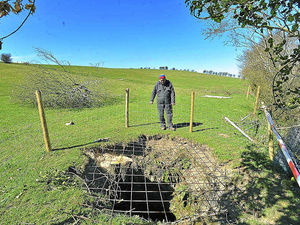 Supporting image for story: Shropshire farmer speaks of disbelief as lamb survives falling 26 feet down well