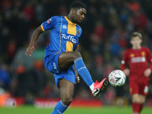 Supporting image for story: Shrewsbury v MK Dons preview: Sam Ricketts’ men seeking an end to winless run