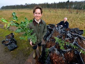 Supporting image for story: More than 14,000 trees to be planted near Telford in bid to boost wildlife