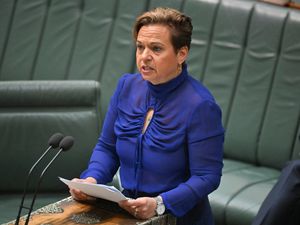 Supporting image for story: Social media ban for children introduced in Australian Parliament