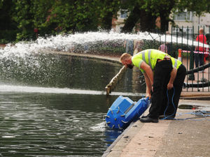Supporting image for story: Fish killed as West Park lake oxygen levels plunge