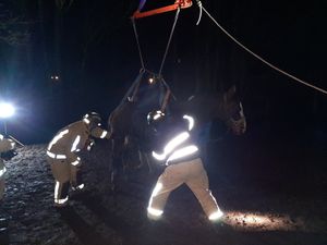 Supporting image for story: Firefighters rescue horse in trouble near Telford