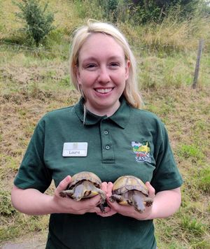 Dudley zoo keeper Laura with Mel and Stevie. Photo: Dudley Zoo.