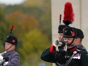 Supporting image for story: Veterans mark Armistice Day at the National Memorial Arboretum