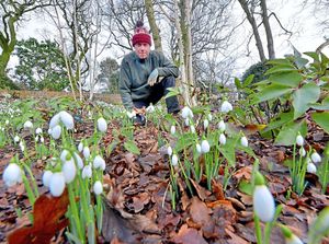 Supporting image for story: How does your garden grow? Market Drayton attraction to host BBC radio show