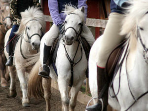 Supporting image for story: Shropshire's rural businesses facing rates increase threat