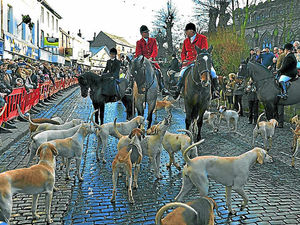 Supporting image for story: Letter: Saddened at hatred expressed by hunt opponents in online poll